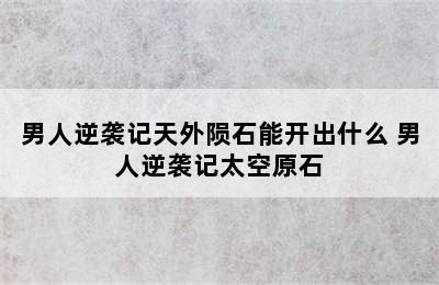 男人逆袭记天外陨石能开出什么 男人逆袭记太空原石